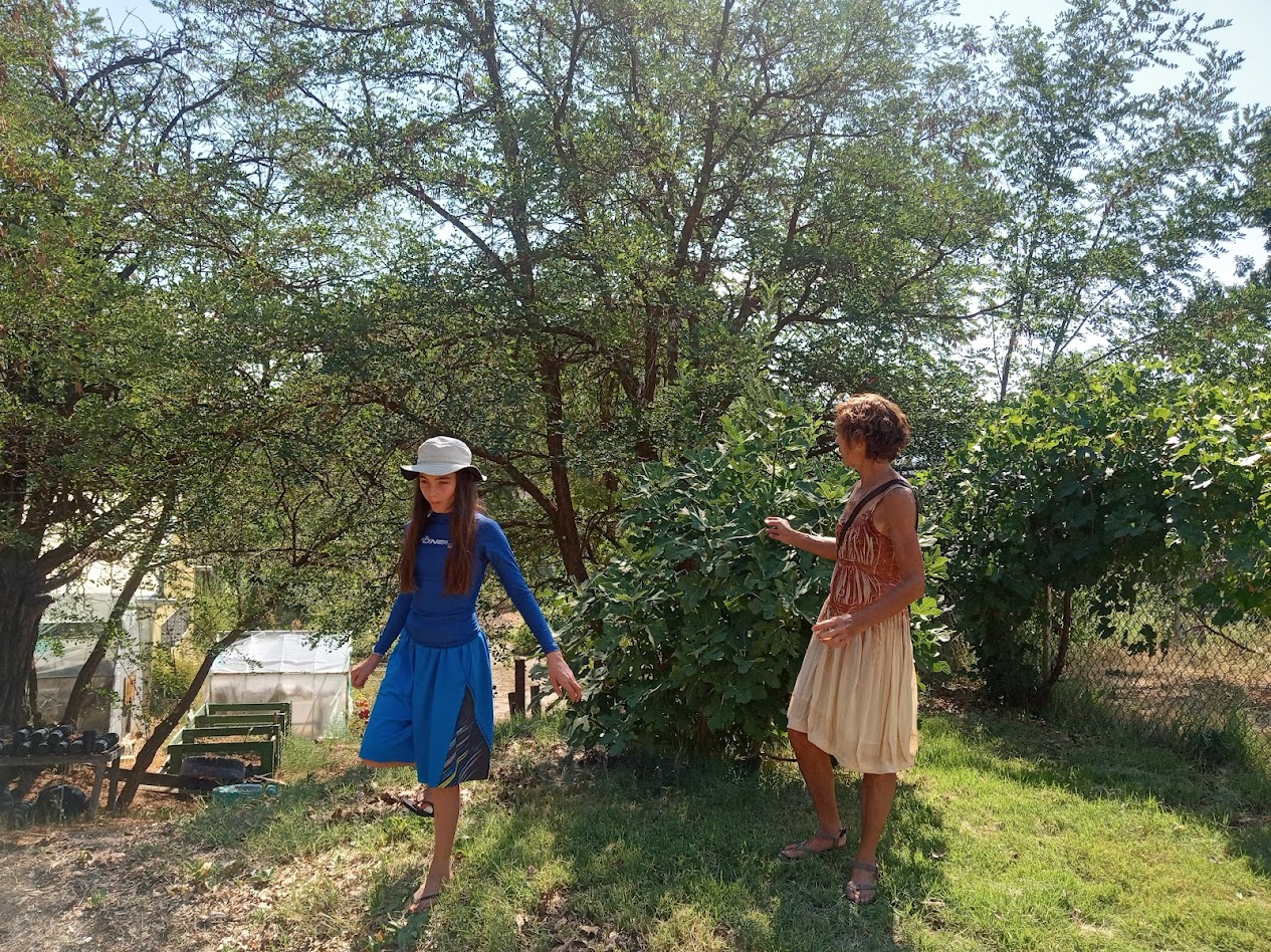 summer-2025-community-garden