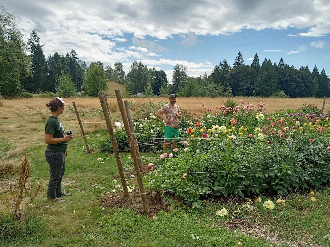 summer-2025-farm-life
