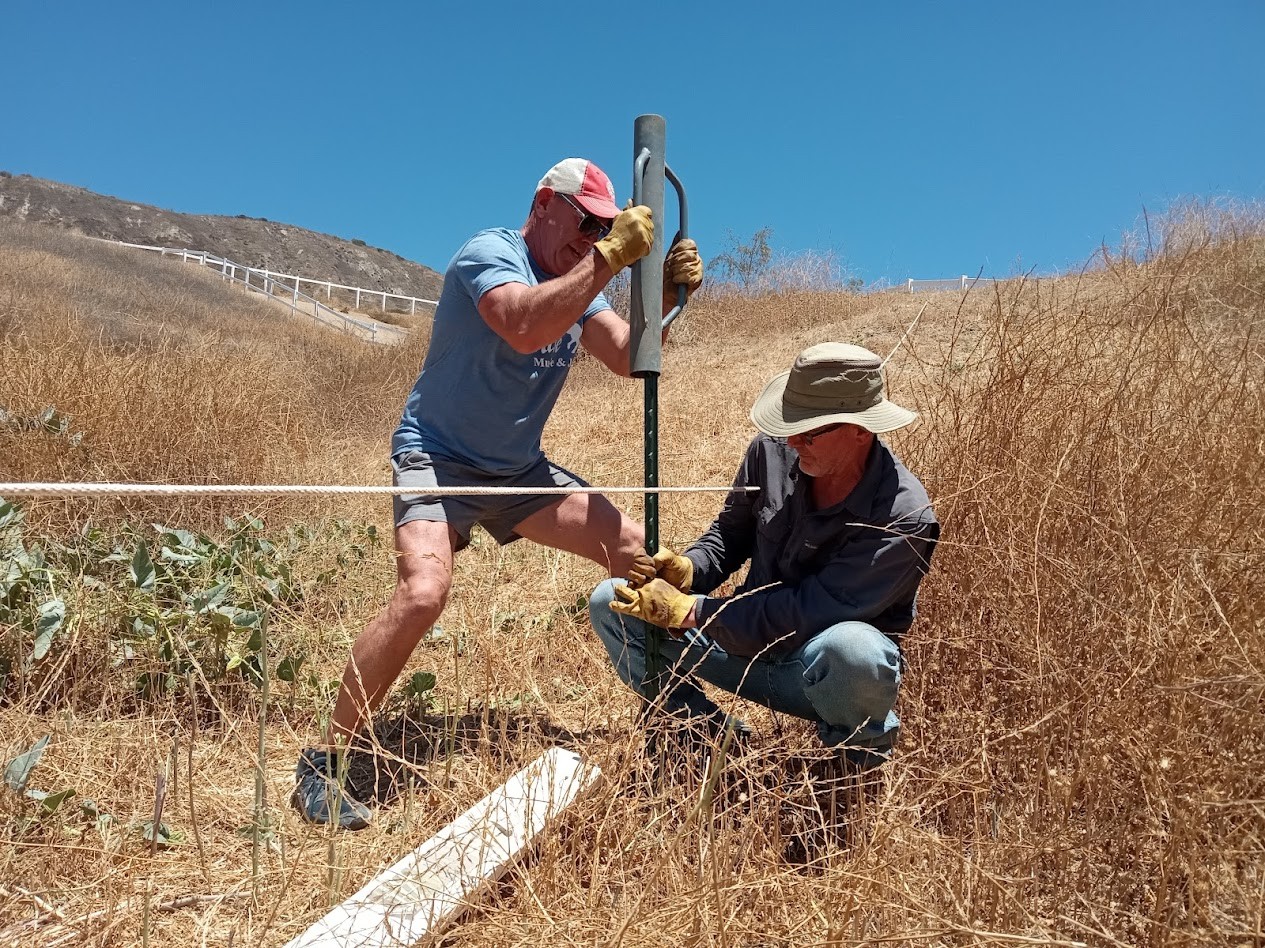 summer-2025-fence-posts